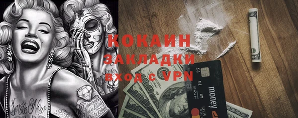 шишки Алексин