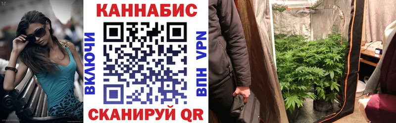 Бошки марихуана семена  где купить   Макушино 
